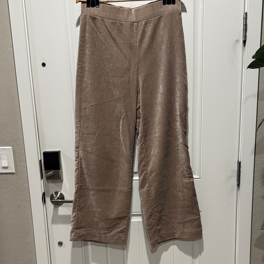 LOFT Tan Velour Track Pants